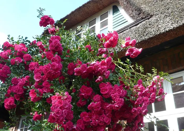 아파트 Landhaus-marwede App6